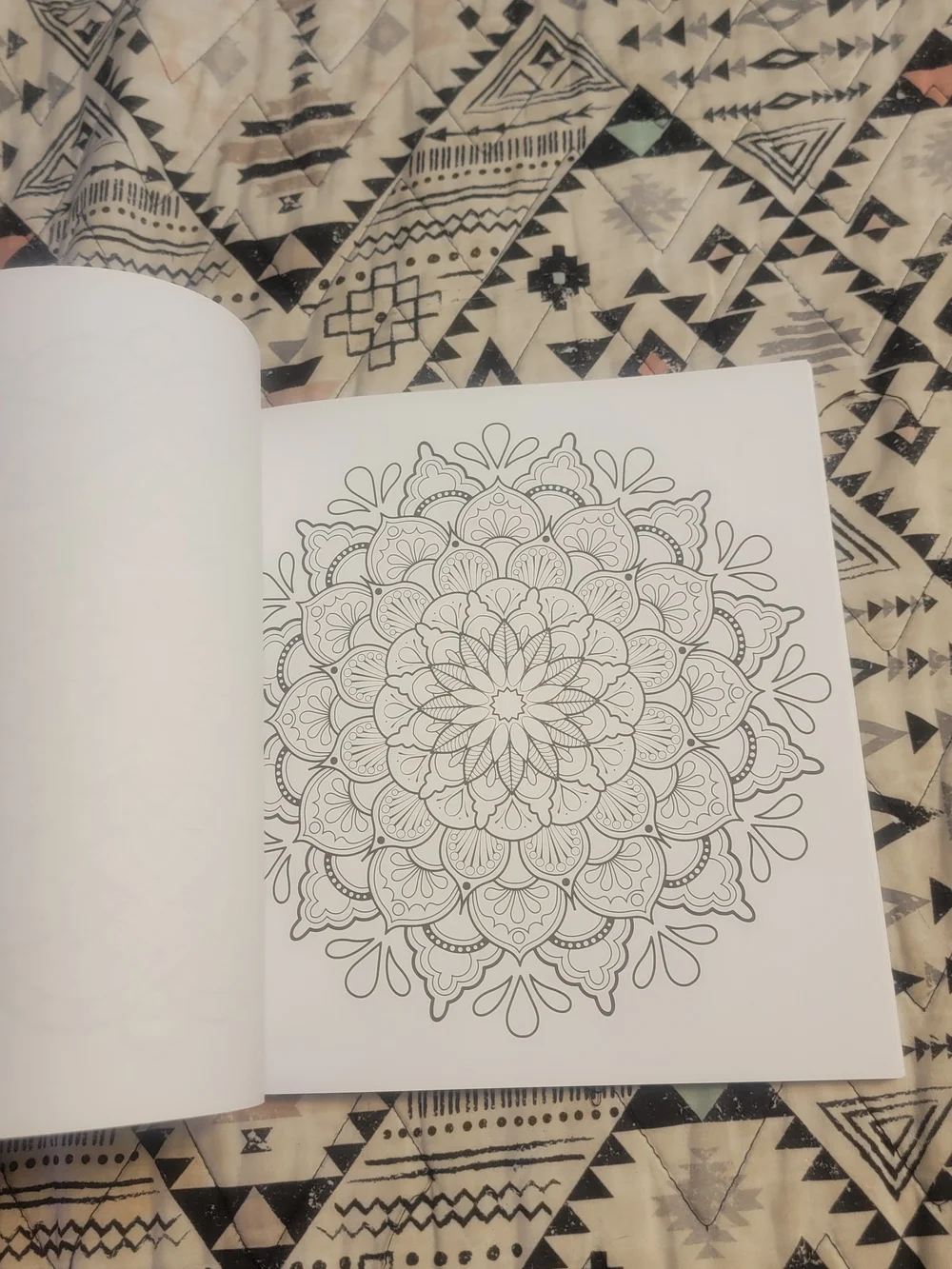 The Art of Mandala Adult Coloring Book by Jason Hamilton - Purple Cover